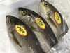 「魚魚市場鮮魚コーナーおすすめは「」