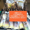 八王子産まだけ「まだけ　今が旬！　まだけ、いまだけ ！　我ながらいいフレーズ！　いつまであるかわかりませんが明日はあります。八王子スカイホテル正面　八王子産まだけ」