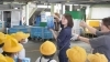 「【インタビュー】株式会社クラハシ 採用担当 横山さんが語る、魚への情熱と働く魅力」