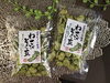 「西海物産館おすすめ商品は「わさびそら豆」です♪」