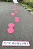 どうぶつあしあとクイズ「どうぶつあしあとクイズ」