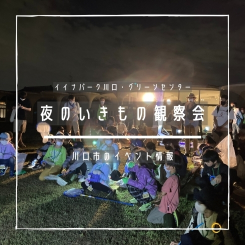 「夜のいきもの観察会【川口市のイベント情報】」