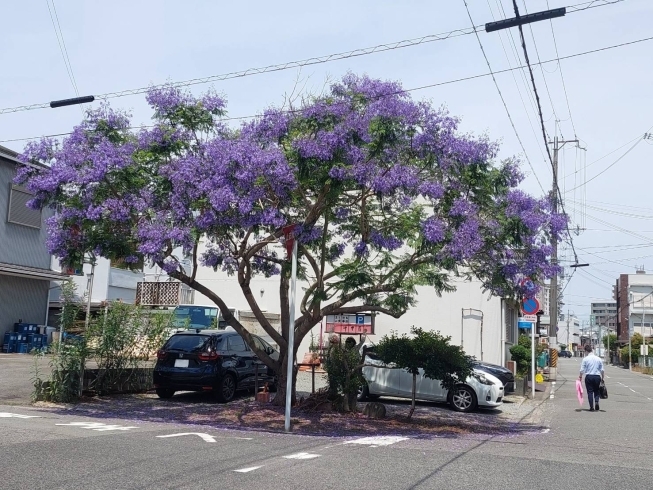 「営業スタッフが、まちで見つけた素敵な風景！」