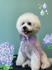 「Dog salon mofu mofu　余市町」