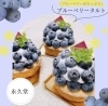 「＼🫐ブルーベリー好き必見🫐／」