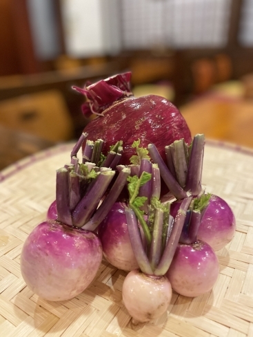 石岡で取れた赤かぶ「地元野菜で今の時期だけのお料理を〜」