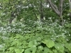 「肩首や腰の不調に」