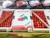 「さくらんぼ🍒の季節がやってきました💕」