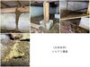 「シロアリ調査（事例紹介：大牟田市）」