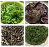 「夏バテ予防に　しそ料理☘️」