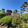 「小樽は快晴です！！」