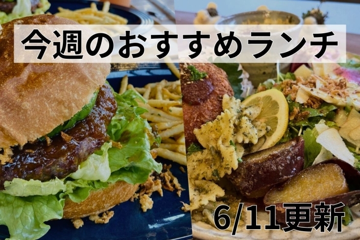 「【6/14】今週のおすすめランチ」