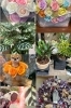 「ょっと個性的なお花屋さん flower&green HoloPono(ホロポノ）」