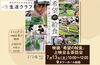 「映画「希望の給食」上映会＆茶話会」