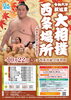 「27年ぶり！大相撲西条場所が開催されます！」