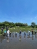 農家の方達の気持ちを考えながら約200名位で田植え「身体も使い、頭も使う意外とハードな運動「田植え」。足腰を鍛えるに田植えは有効だった…。」