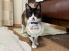 怪物くん「ぶっちゃんHappyBirthday♡」