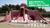 関屋分水までウォーキングしてきました！「YouTube第31回目の動画アップ【新潟市東区 整体 姿勢 骨盤矯正 アロマ 足つぼ】」