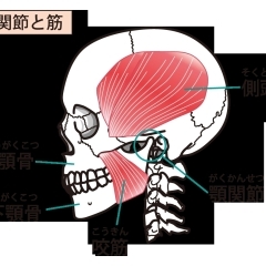 顎関節症