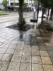 雨で濡れた街。涼しげです「恵みの雨…になるかな？」