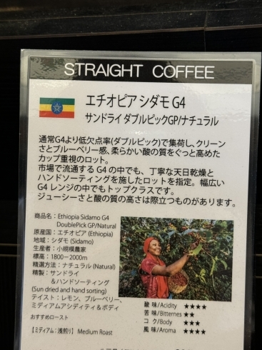 エチオピアのコーヒーをどうぞ！「本日おすすめのコーヒーは「モカシダモG４ サンドライ ダブルピック」ジューシーさと酸の質の高さが際立つコーヒーです！　他にも世界の厳選コーヒー豆を取り揃えています！/市川駅すぐ【グリーン珈琲焙煎所】」