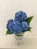 「紫陽花を頂きました(o^^o)」