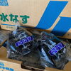 「「水なす」の入荷も始まりましたよ～🍆🍆 岩手県産　「水なす」」