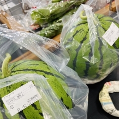 今朝の入荷情報！！地元産のスイカ、少量ですが登場しました🍉