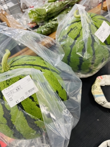 今朝に届いたスイカ「今朝の入荷情報！！地元産のスイカ、少量ですが登場しました🍉」