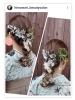 ヘアーセット「ハカマ着付け、ヘアーセット… 四国中央市 美容室 オゾン 髪質改善 カラー会員 空間除菌 コロナ対策 オゾン殺菌力 ブライダル 成人式 着付け ヘアメイク 美容師 理容師 顔剃り 新居浜市」