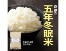 数量限定 無洗米 5年冬眠米 備蓄にも便利 安来市産きぬむすめ【島根県安来市ふるさと納税】　
