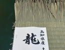 高知県産　高級畳表「龍馬」