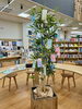 「【お知らせ】綾部市図書館で星に願いを……☆」