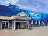 越前松島水族館「福井県の水族館/静岡/熱帯魚/水槽レンタル/島田市/癒し/内装」