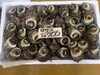 「本日鮮魚入荷致しました。[岩牡蠣は７月から販売致します。]」