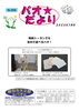 「梅雨シーズンでも室内で遊べるパオ！【パオだより2024年7月号】」