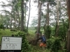 「美山公園の松枯れ伐採くん蒸」