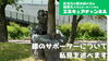 膝のサポータについて私見を述べます。「YouTube第32回目の動画アップ【新潟市東区 整体 姿勢 骨盤矯正 アロマ 足つぼ】」