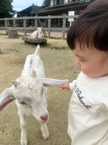 「スタッフの休日♡」