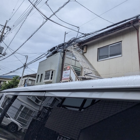 所沢市で猫ちゃんのお見送り「所沢市の猫ちゃん、立川市のわんちゃんへ「ありがとう」のお手伝い」