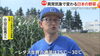 たくさんオンエアして頂きフジテレビさん感謝！🎙️「☆22日、フジテレビ『news イット』、無事にオンエア📺☆」