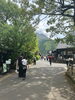 湯の坪街道「三桜電気《電化・リフォーム事業部 お便り其の三十五》【宮崎・オール電化】」