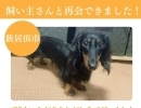 【無事再会！】新居浜市東雲町付近で迷子になった犬のこんぶちゃん。飼い主さんと再会できました！