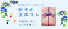 「御中元・夏ギフト早割クーポン配信中 【伊那市のお土産、ケーキ、スイーツといえばちいずくっきい】」