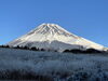 ミニクロさん　子供の国にて「富士山　写真の投稿ありがとうございました＃19」