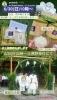 6/30(日)10時～豆腐振る舞い無くなり次第終了「6/30(日)10時～大原野神社にて夏越豆腐振る舞います❗【西京区　京都とうふ　夏越の大祓】」