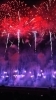プチこぷれ通信》京都芸術花火2024を鑑賞してきました? | まいぷれ 