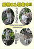 フワくん「里親募集(フワくん♂)」