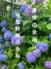 「梅雨は　身体が正直に！」