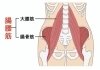 腸腰筋」（股関節）を大切にしましょう。 | Total Conditioning